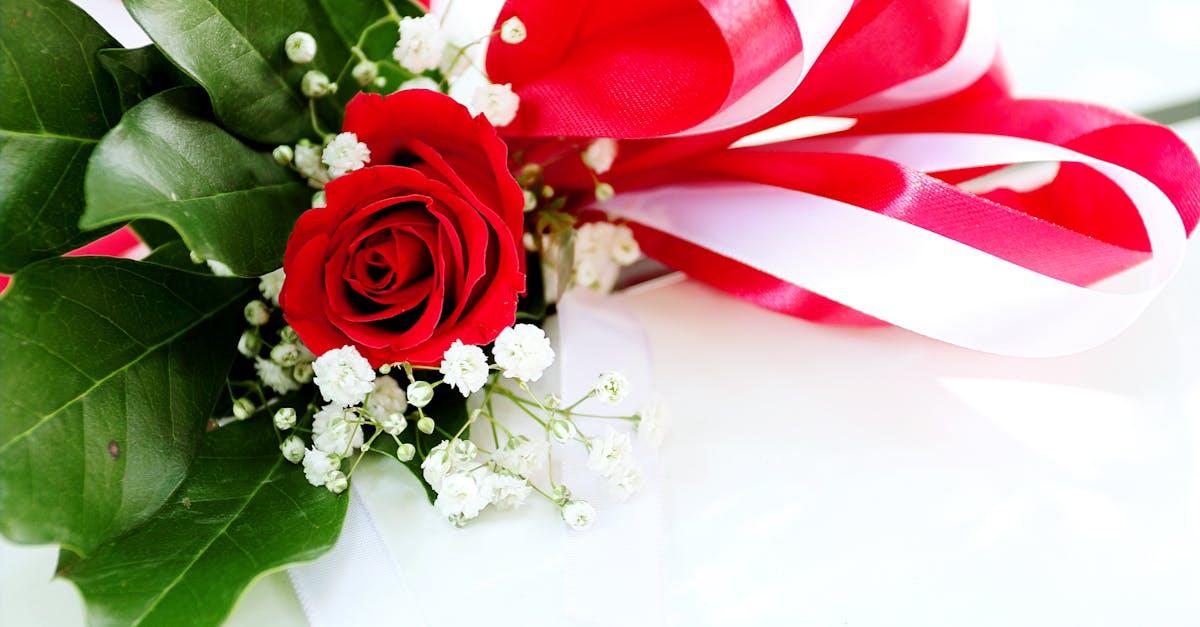 découvrez la beauté intemporelle de la rose, symbole d'amour et de passion. explorez ses variétés, ses couleurs vibrantes et son parfum envoûtant qui captivent les sens.