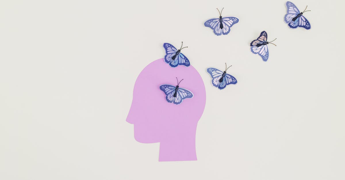 découvrez comment la transformation peut impacter votre vie et votre entreprise. explorez des stratégies innovantes, des idées inspirantes et des exemples concrets pour réussir votre changement et atteindre vos objectifs.