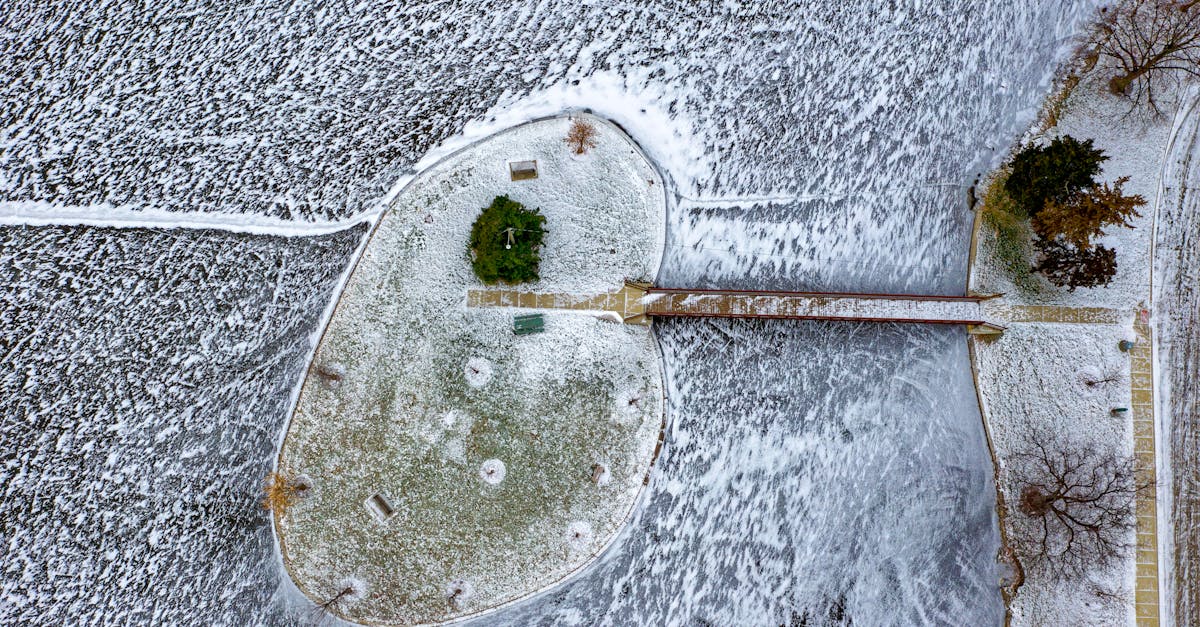 découvrez le monde fascinant de léa, une aventure riche en émotions et en découvertes. rejoignez-nous pour explorer son univers unique et inspirant.