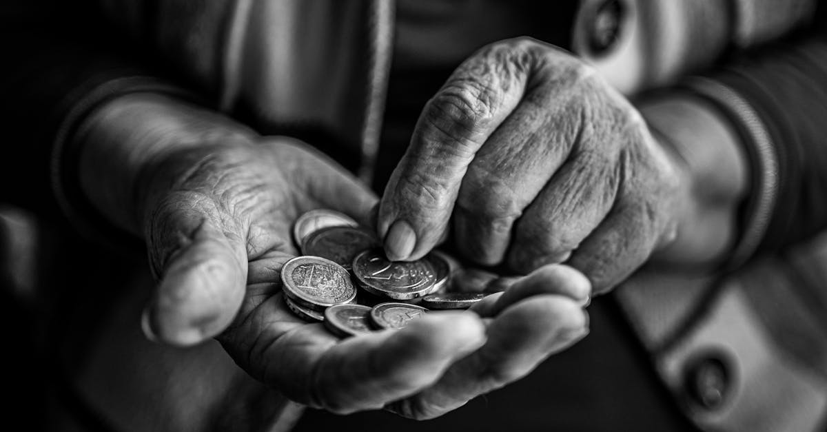 découvrez notre pension chaleureuse, idéale pour un séjour reposant avec un service attentionné, des chambres confortables et un cadre paisible. profitez d'une expérience inoubliable en pleine nature.
