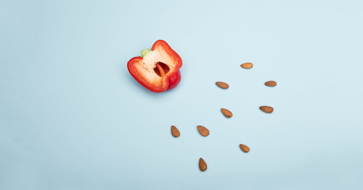 découvrez tout ce qu'il faut savoir sur le sperme : sa composition, son rôle dans la reproduction et les dernières avancées scientifiques. informez-vous sur sa santé, ses facteurs influents et son importance dans la fertilité.