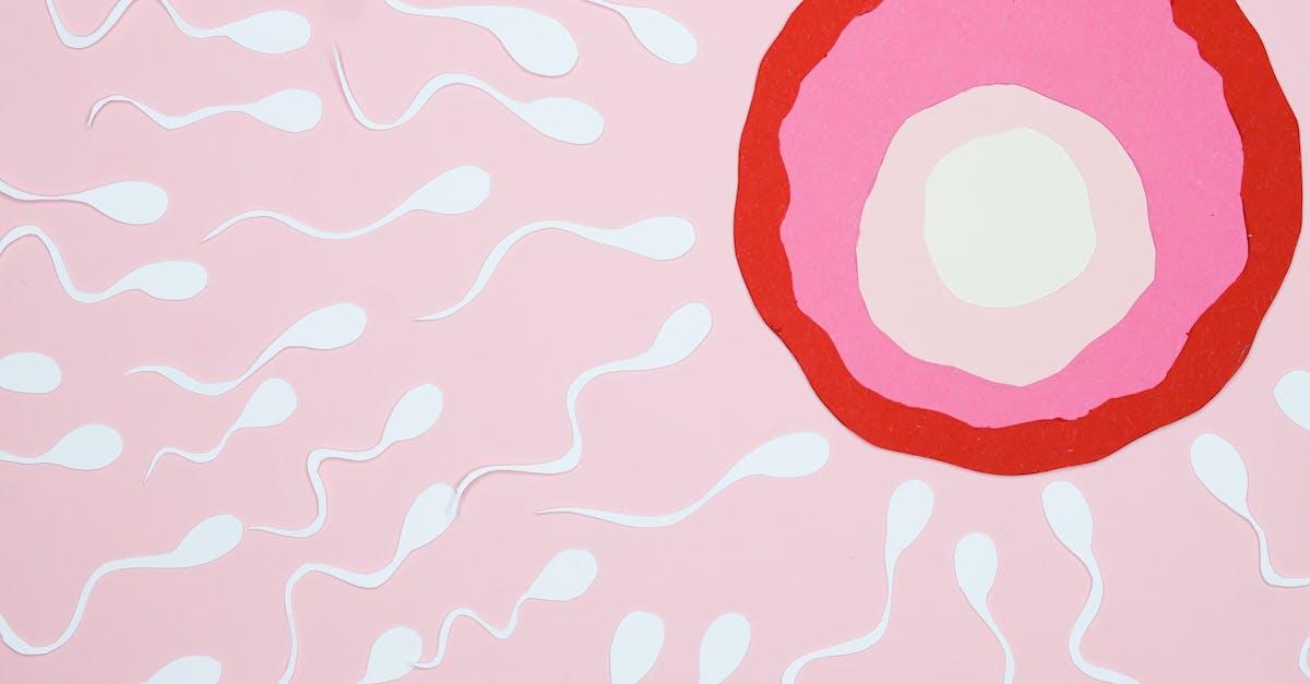 découvrez tout ce qu'il faut savoir sur le sperme : sa composition, son rôle dans la reproduction, et son importance pour la fertilité masculine. informez-vous sur les mythes et réalités autour du sperme.