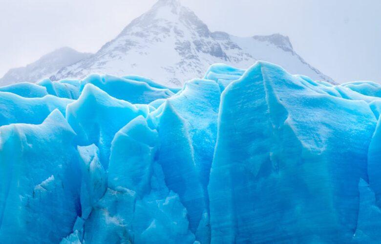 découvrez le phénomène de la 'freeze response', une réaction instinctive de gel face au danger. apprenez comment ce mécanisme survient et son impact sur notre comportement, ainsi que des stratégies pour surmonter cette réponse lors de situations stressantes.