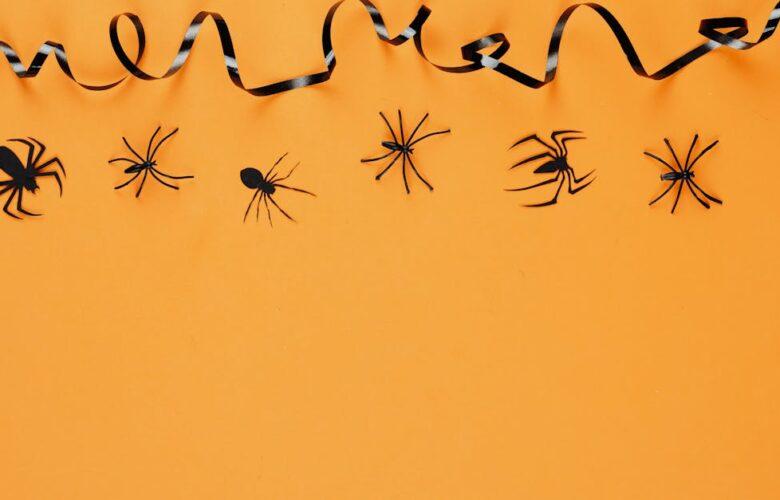découvrez le monde fascinant des araignées : leurs caractéristiques, leur habitat, et leur rôle dans l'écosystème. plongez dans l'univers intrigant des arachnides et apprenez à mieux les comprendre.