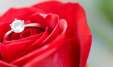 découvrez l'univers fascinant des diamants, pierres précieuses symbolisant l'amour et la durabilité. apprenez-en plus sur leurs caractéristiques, leur histoire et comment choisir le diamant parfait pour vos occasions spéciales.