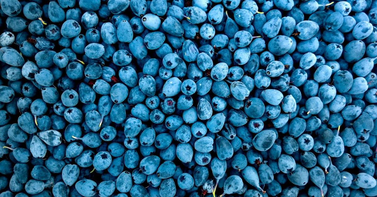 découvrez l'univers fascinant des baies : des fruits juteux et colorés, riches en nutriments et en saveurs. apprenez à les utiliser en cuisine, leurs bienfaits pour la santé, et comment les cultiver chez vous !