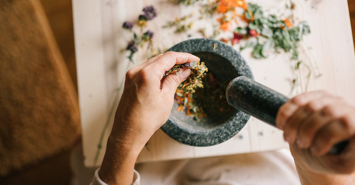 découvrez les remèdes de grand-mère, des solutions naturelles et efficaces pour prendre soin de votre santé au quotidien. plantes, infusions et astuces de nos ancêtres, tout ce qu'il vous faut pour retrouver le bien-être naturellement.