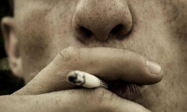 découvrez les risques pour la santé associés à divers modes de vie et habitudes. informez-vous sur les facteurs de risque courants, les maladies potentielles et les conseils pour adopter un mode de vie sain et réduire les dangers pour votre bien-être.
