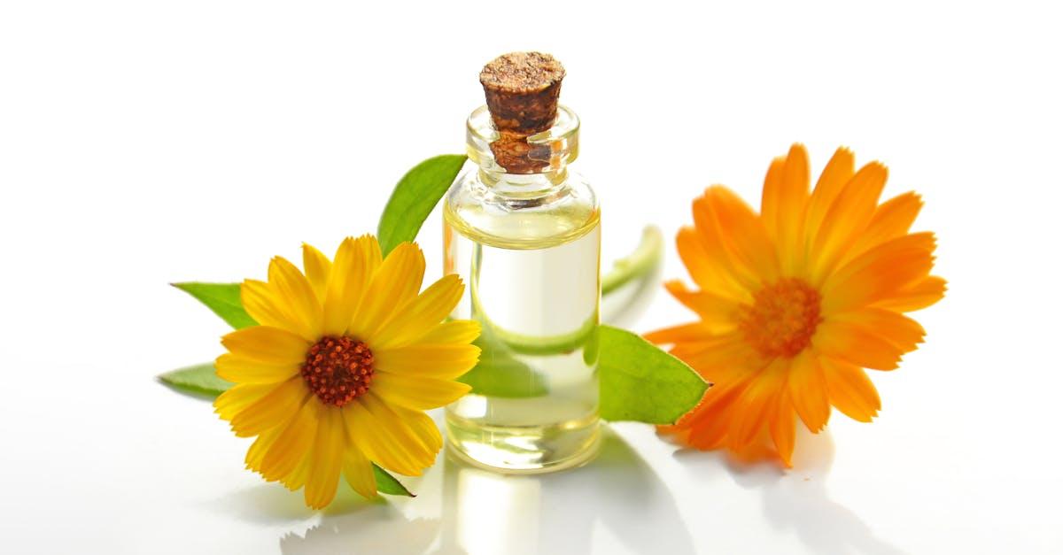 découvrez notre sélection de parfums chez lidl, alliant qualité et prix abordables. trouvez le parfum idéal qui reflète votre personnalité, des notes florales aux senteurs boisées. faites de chaque jour une occasion spéciale avec nos fragrances exclusives.