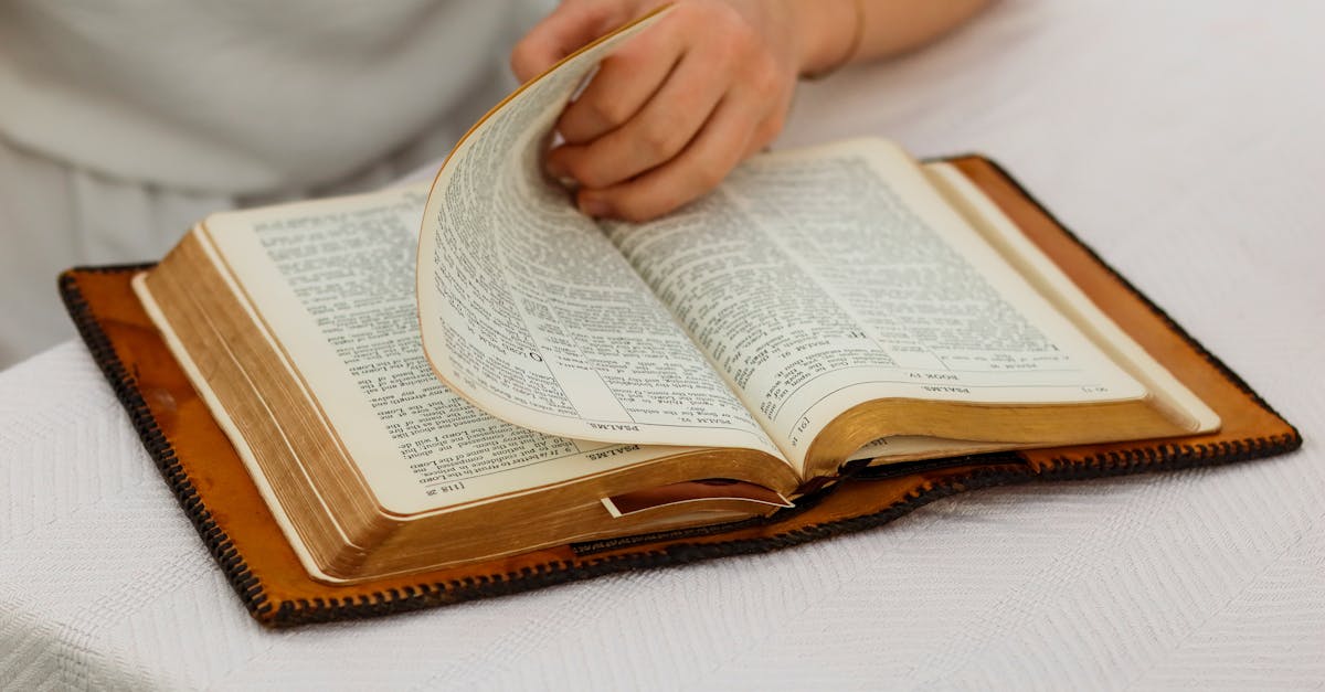 découvrez notre sélection incontournable de livres à lire absolument. plongez dans des histoires captivantes, des classiques intemporels aux nouveautés percutantes, et enrichissez votre culture littéraire avec ces must-reads qui séduiront tous les passionnés de lecture.