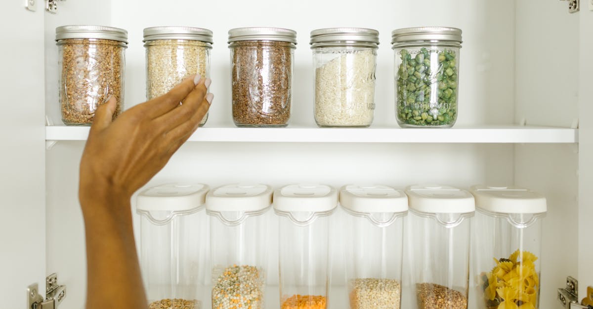 découvrez l'univers des pois ! apprenez tout sur leurs bienfaits nutritionnels, leurs variétés, et des recettes délicieuses pour intégrer ces petites légumineuses dans votre alimentation au quotidien.