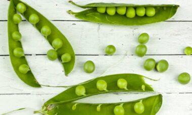 découvrez les pois, ces petites légumineuses riches en protéines et en vitamines. idéals pour des plats savoureux et nutritifs, les pois ajoutent une touche de fraîcheur à votre cuisine. explorez leurs bienfaits et apprenez à les cuisiner de diverses façons.