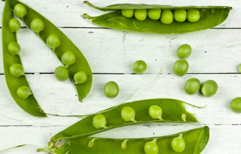découvrez les pois, ces petites légumineuses riches en protéines et en vitamines. idéals pour des plats savoureux et nutritifs, les pois ajoutent une touche de fraîcheur à votre cuisine. explorez leurs bienfaits et apprenez à les cuisiner de diverses façons.