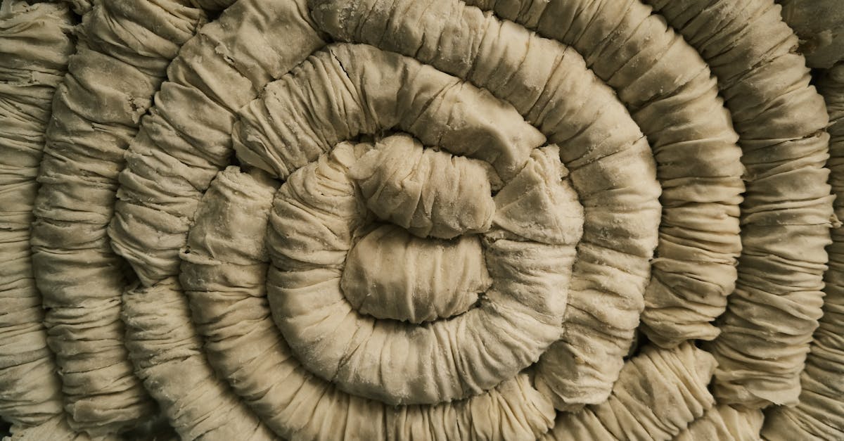 découvrez l'art de la pâte feuilletée : une recette incontournable pour réaliser des desserts et plats salés savoureux. apprenez à créer des couches croustillantes et légères qui sublimeront toutes vos préparations culinaires.