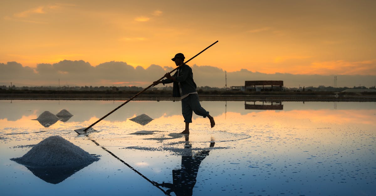 découvrez le sel, un minéral essentiel qui rehausse le goût de vos plats tout en jouant un rôle crucial dans la santé. apprenez-en plus sur ses types, ses bienfaits et son utilisation dans la cuisine et la conservation des aliments.