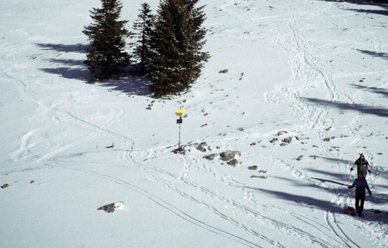 découvrez nos offres de forfaits de ski attractifs pour des vacances inoubliables à la montagne. profitez des meilleurs spots de ski, de l'hébergement confortable et d'activités variées pour toute la famille. réservez dès maintenant et vivez l'expérience ultime sur les pistes !