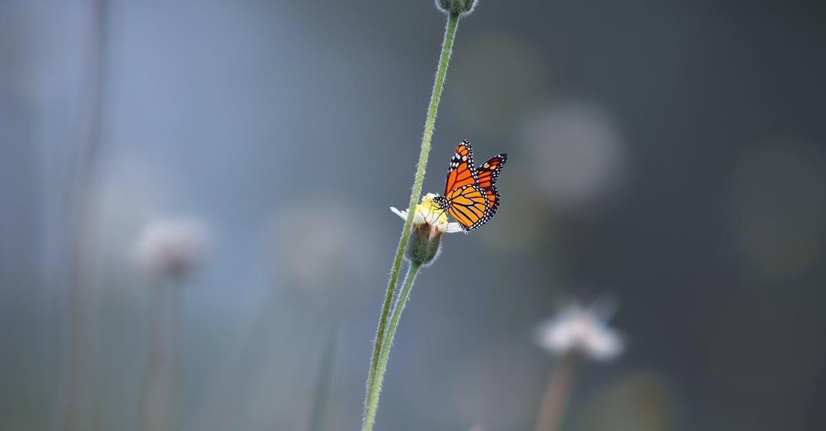 découvrez comment la transformation personnelle et professionnelle peut bouleverser votre vie. explorez des stratégies et des conseils pratiques pour initier des changements positifs et atteindre vos objectifs de manière efficace.