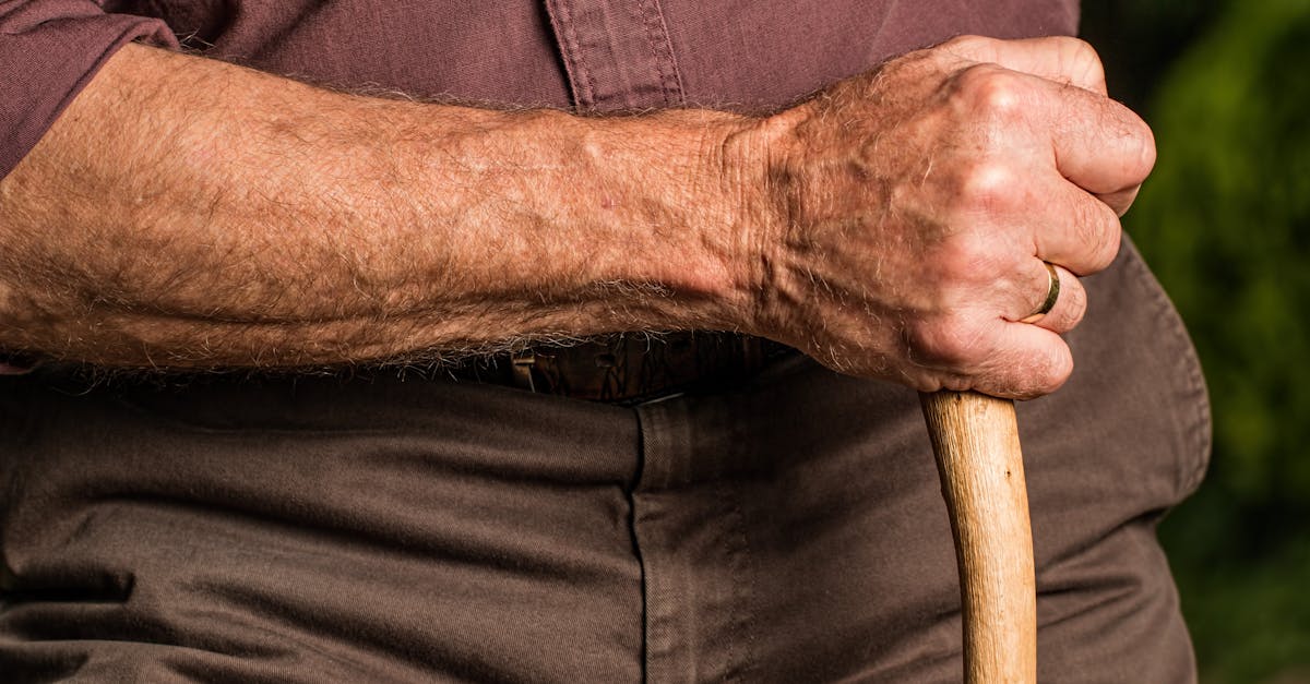 découvrez les secrets de l'aging : explorez les processus de vieillissement, apprenez comment prendre soin de votre peau et adoptez des habitudes saines pour une vie épanouie et prolongée.