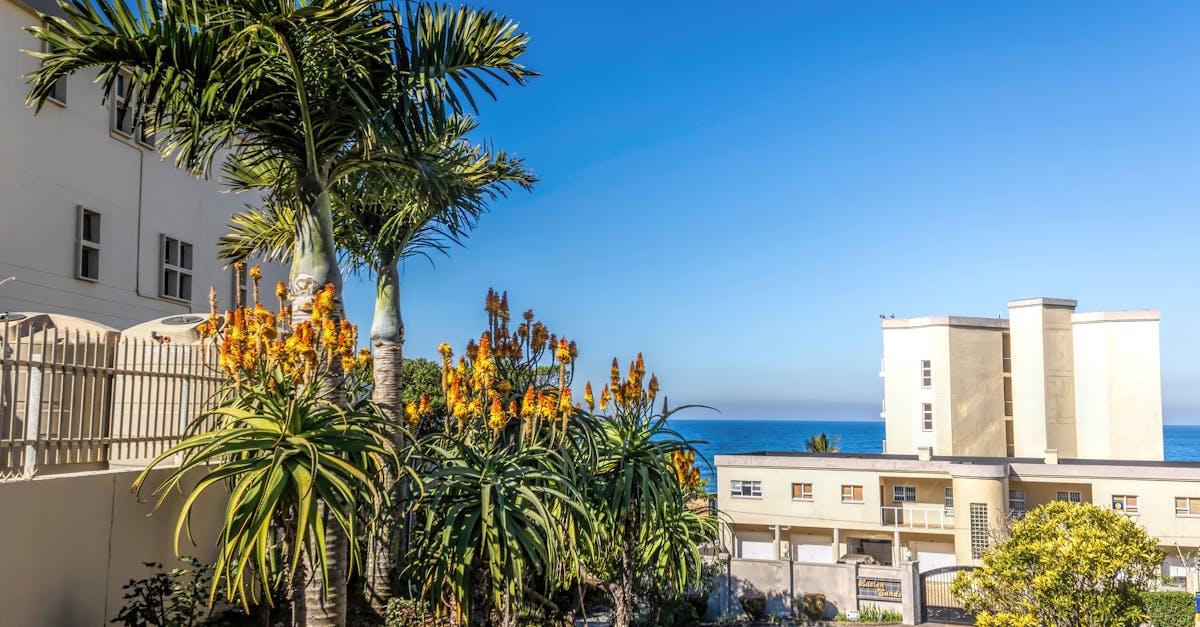 découvrez la magie des attractions incontournables qui captivent petits et grands. plongez dans des expériences sensationnelles et inoubliables, entre sensations fortes et moments de partage en famille ou entre amis.