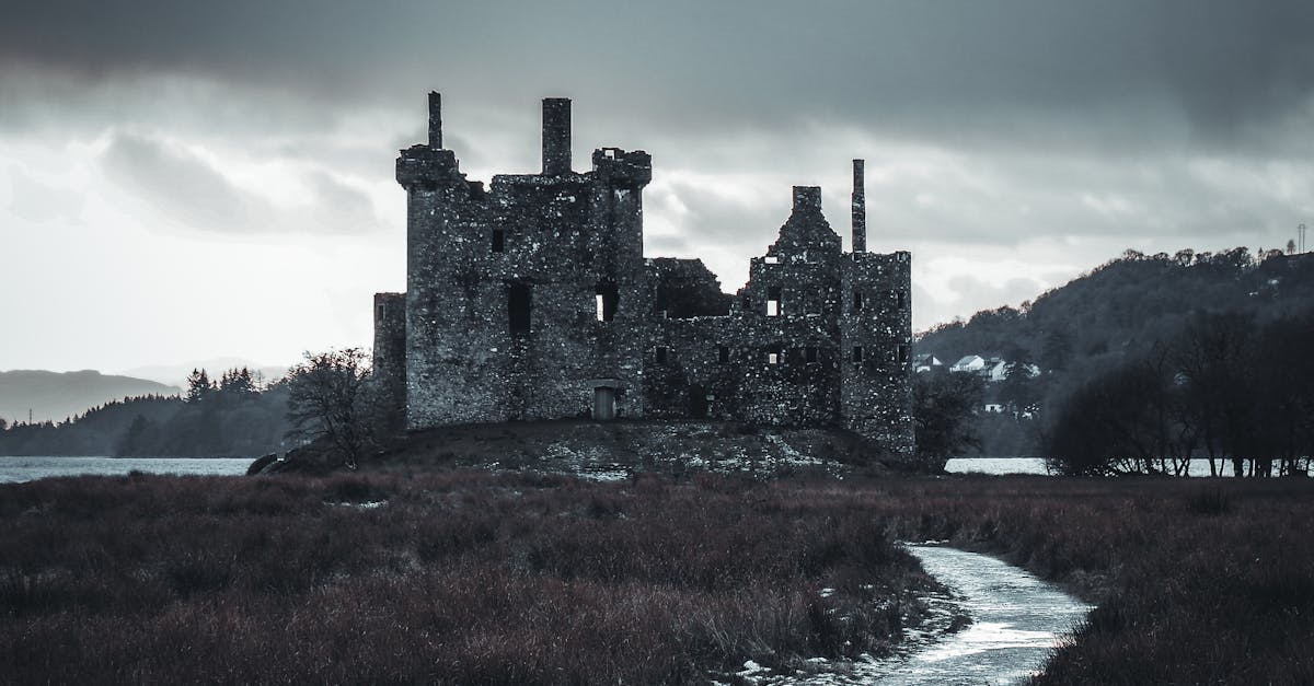 découvrez l'univers fascinant des châteaux : une plongée dans l'histoire, l'architecture majestueuse et les légendes qui les entourent. explorez des sites emblématiques et laissez-vous envoûter par leur beauté intemporelle.