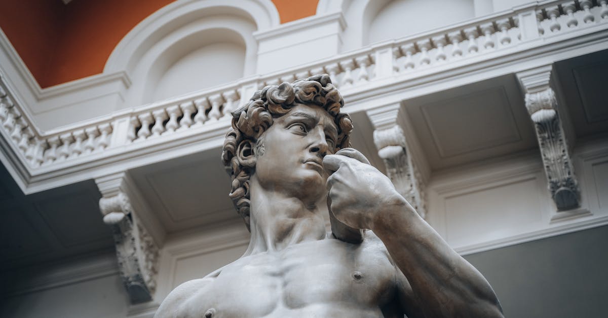 découvrez l'univers captivant de david kammenos, un talent incontournable qui combine créativité et passion. explorez ses réalisations, son parcours inspirant et ses contributions dans le monde de l'art et de la culture.