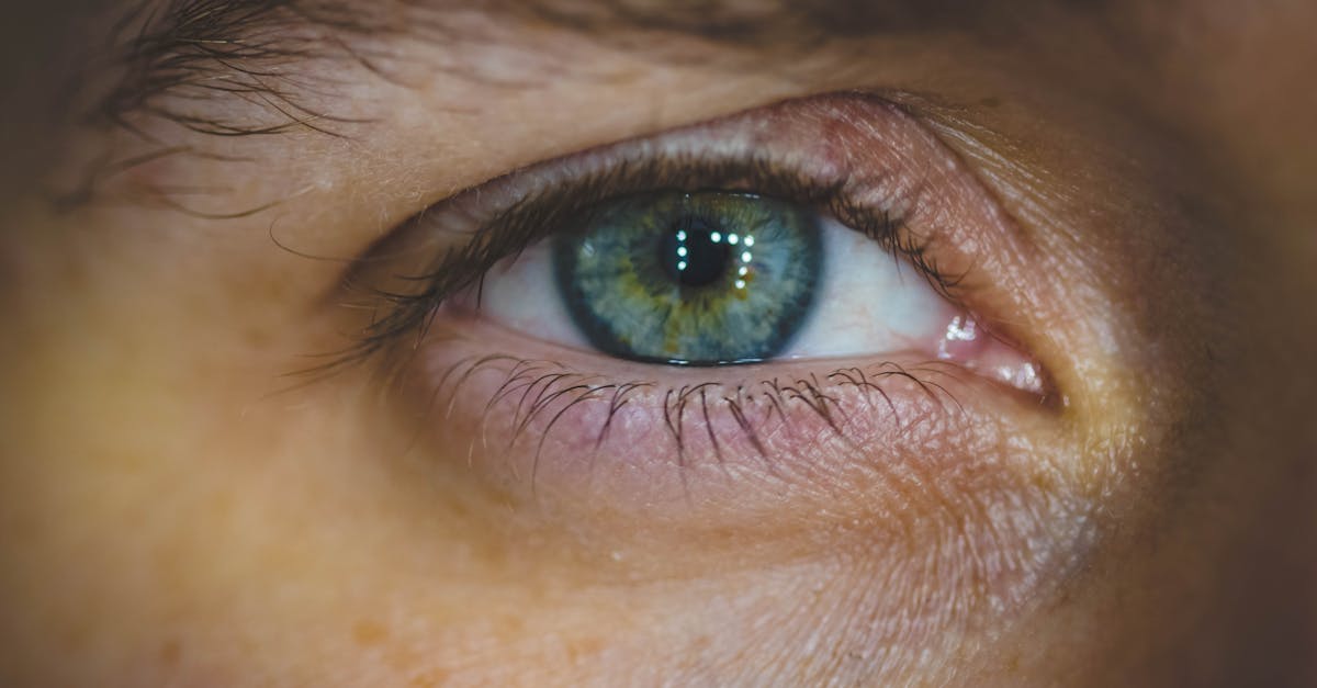 découvrez l'art de la mise en beauté des sourcils avec nos conseils sur les tendances, les techniques et les produits incontournables pour des sourcils parfaits qui rehaussent votre regard.
