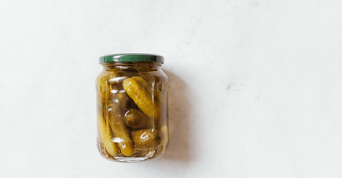 découvrez les bienfaits des aliments fermentés pour votre santé et votre bien-être. apprenez comment ces super-aliments peuvent améliorer votre digestion, renforcer votre système immunitaire et apporter une touche savoureuse à vos plats quotidiens.