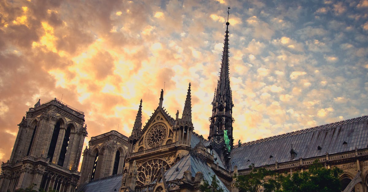 découvrez la richesse culturelle, historique et géographique de la france. des paysages à couper le souffle aux délices culinaires, explorez tout ce que ce magnifique pays a à offrir.