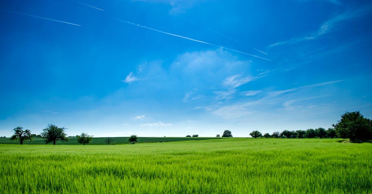 découvrez le monde fascinant du naturel : des produits, des conseils et des astuces pour une vie plus saine et respectueuse de l'environnement. explorez notre gamme de solutions durables et biologiques pour un bien-être au quotidien.