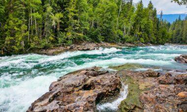 découvrez la beauté naturelle sous toutes ses formes, des paysages à couper le souffle aux soins écoresponsables pour la peau. embrassez l'harmonie entre la nature et le bien-être avec nos conseils et produits inspirés par l'environnement.
