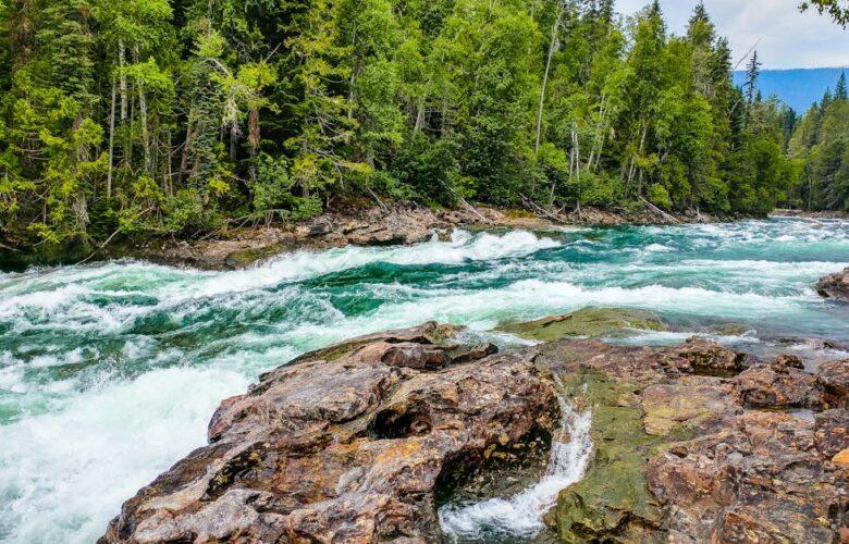 découvrez la beauté naturelle sous toutes ses formes, des paysages à couper le souffle aux soins écoresponsables pour la peau. embrassez l'harmonie entre la nature et le bien-être avec nos conseils et produits inspirés par l'environnement.