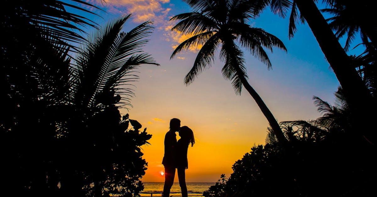 découvrez l'univers envoûtant de la romance : des histoires d'amour passionnantes, des personnages attachants et des intrigues émouvantes qui vous feront vibrer au rythme des émotions.
