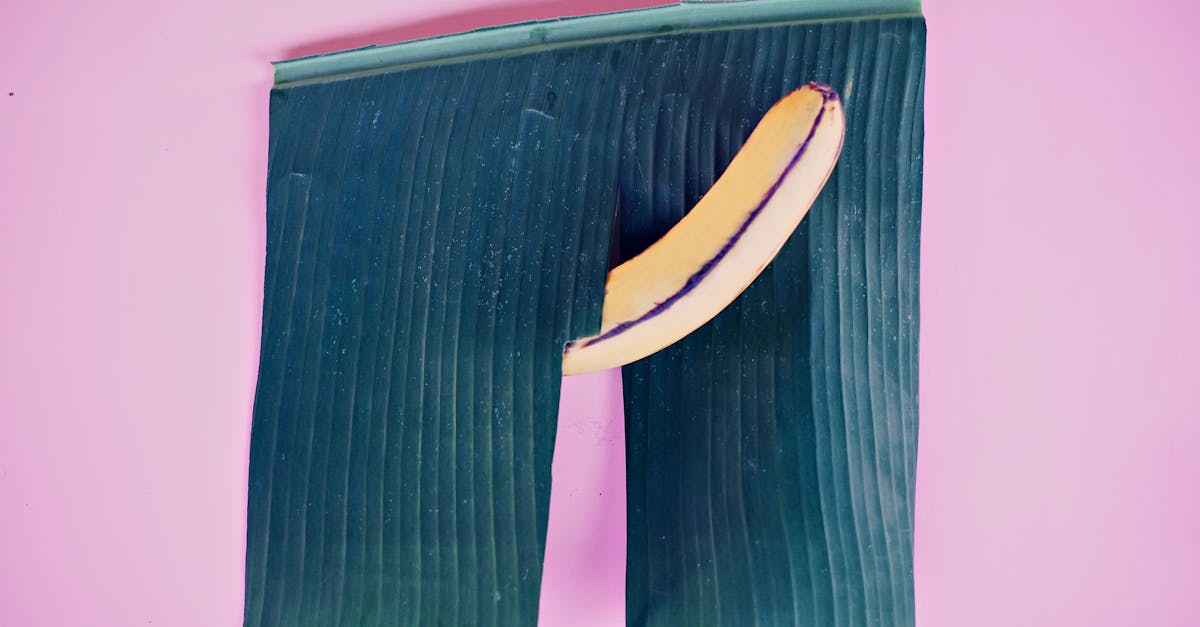 découvrez les divers comportements sexuels, leur impact sur les relations humaines et l'importance de la communication. explorez des aspects variés allant de la santé sexuelle à la psychologie, et apprenez comment ces comportements façonnent notre vie quotidienne.