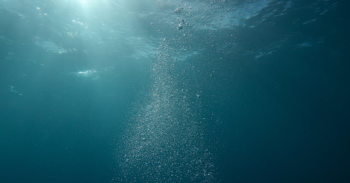 découvrez l'importance de l'eau dans notre vie quotidienne, ses bienfaits pour la santé, et les moyens de la préserver pour les générations futures. plongez dans l'univers fascinant de l'eau.