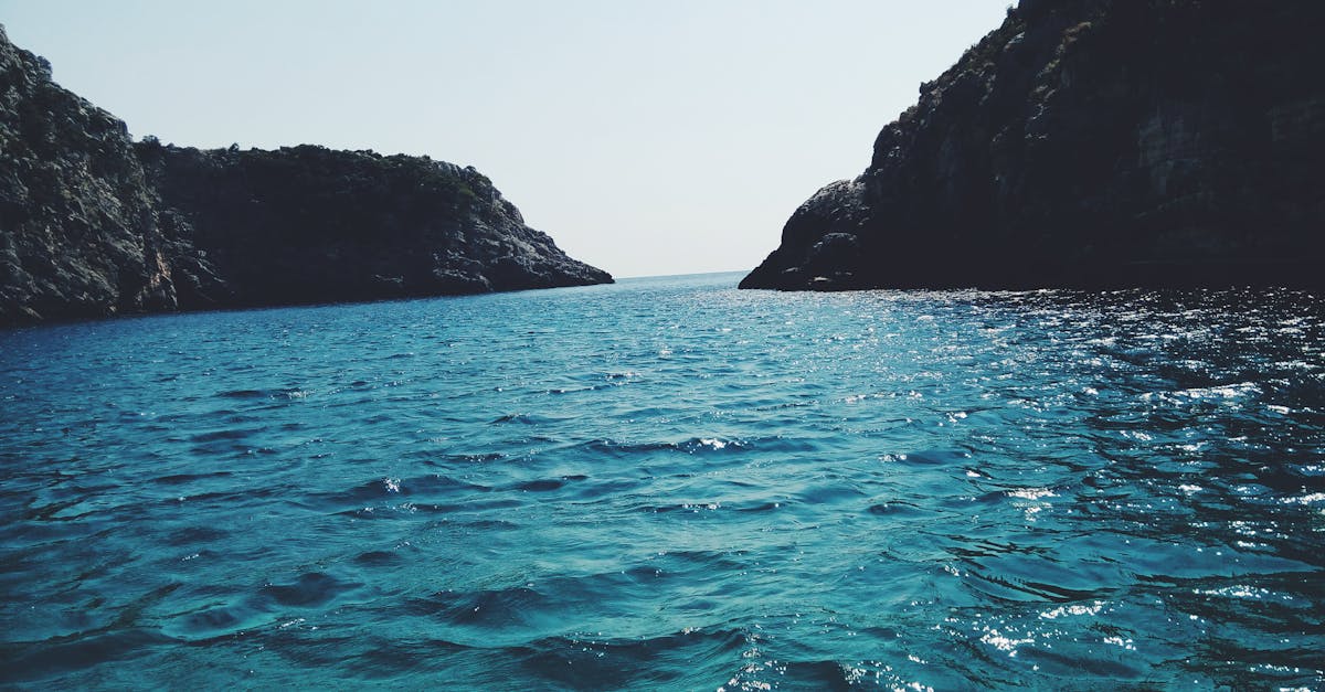 découvrez l'importance essentielle de l'eau pour la vie, son rôle dans notre environnement et les enjeux liés à sa préservation. apprenez aussi des astuces pour économiser cette précieuse ressource au quotidien.