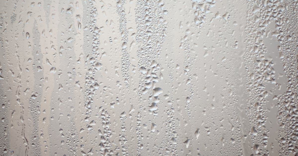 découvrez les perles d'eau, ces petites sphères colorées qui absorbent l'eau et se transforment en magnifiques décorations pour vos plantes, événements ou loisirs créatifs. parfaites pour apporter une touche d'originalité à votre intérieur !