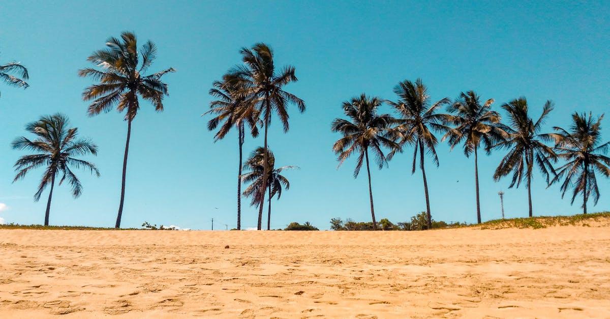 découvrez les plus belles plages du monde, idéales pour se détendre, profiter du soleil et s'adonner aux activités nautiques. parfaite pour des vacances inoubliables au bord de l'eau.