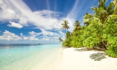 découvrez la beauté envoûtante des plages : du sable doré, des vagues apaisantes et un cadre idéal pour des moments de détente. parfait pour les amoureux de la nature et les amateurs de soleil.