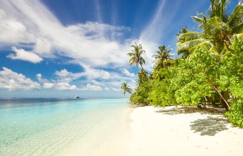 découvrez la beauté envoûtante des plages : du sable doré, des vagues apaisantes et un cadre idéal pour des moments de détente. parfait pour les amoureux de la nature et les amateurs de soleil.