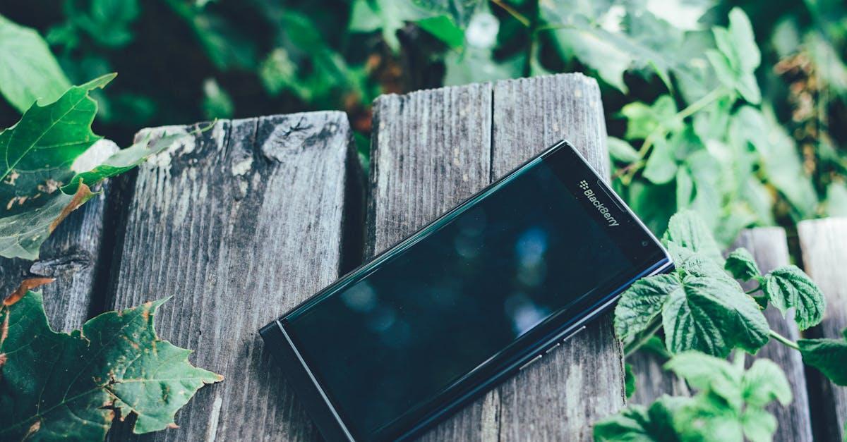 découvrez tout sur le blackberry, un fruit savoureux et nutritif, idéal pour vos recettes saines. explorez les bienfaits pour la santé, les astuces de cuisine et les façons de savourer ce délice naturel.