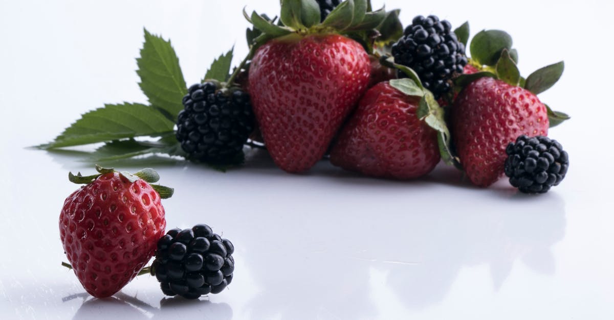 découvrez l'univers des blackberries, ces délicieuses baies riches en antioxydants. apprenez-en plus sur leurs bienfaits pour la santé, des recettes savoureuses et des conseils pour les cultiver dans votre jardin.