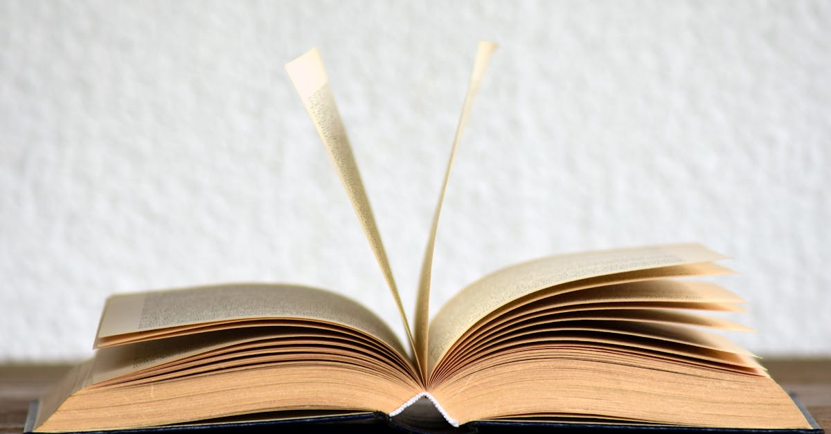 découvrez l'univers captivant des livres avec notre sélection variée. que vous soyez passionné de fiction, de non-fiction ou de guides pratiques, trouvez votre prochain coup de cœur littéraire et laissez-vous transporter par des histoires inoubliables.