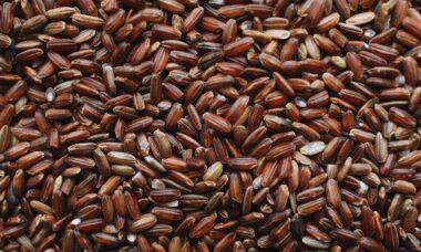 découvrez les bienfaits du riz brun, une alternative saine au riz blanc, riche en fibres et en nutriments. apprenez à l'intégrer facilement dans vos repas pour une alimentation équilibrée.