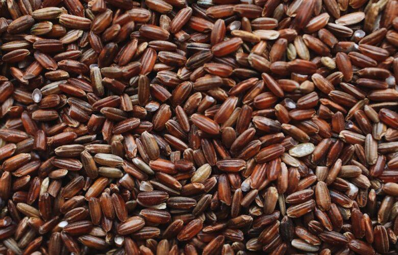 découvrez les bienfaits du riz brun, une alternative saine au riz blanc, riche en fibres et en nutriments. apprenez à l'intégrer facilement dans vos repas pour une alimentation équilibrée.