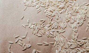 découvrez les bienfaits du riz brun pour la santé. riches en nutriments, en fibres et en antioxydants, le riz brun favorise la digestion, régule le niveau de sucre dans le sang et contribue à la perte de poids. apprenez comment intégrer cet aliment incontournable dans votre alimentation pour une vie plus saine.