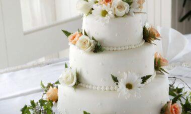 découvrez une délicieuse variété de recettes de cake, parfaites pour toutes les occasions. que vous soyez fan de chocolat, de fruits ou de saveurs originales, nos recettes vous garantiront des moments gourmands inoubliables.