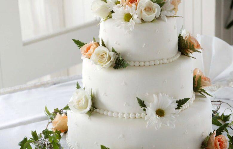 découvrez une délicieuse variété de recettes de cake, parfaites pour toutes les occasions. que vous soyez fan de chocolat, de fruits ou de saveurs originales, nos recettes vous garantiront des moments gourmands inoubliables.