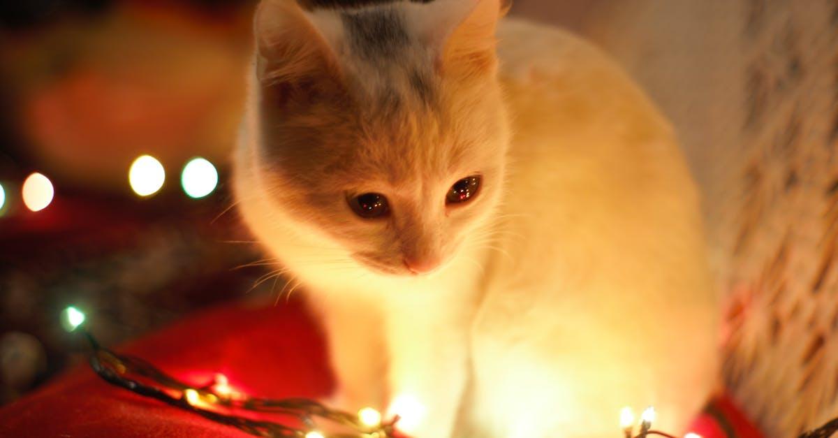 découvrez la magie des fêtes avec notre sélection de films de noël captivants ! parfaits pour toute la famille, ces films vous plongeront dans un univers festif rempli de joie, d'amour et d'aventures. ne manquez pas les classiques et les nouveautés qui illumineront votre saison des fêtes.