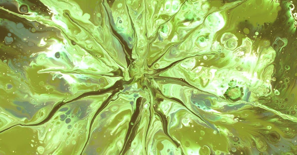 découvrez notre liquide vaisselle efficace et écologique, conçu pour un nettoyage impeccable de votre vaisselle tout en préservant l'environnement. profitez d'un parfum frais et d'une formule qui élimine la graisse facilement, tout en respectant votre peau.
