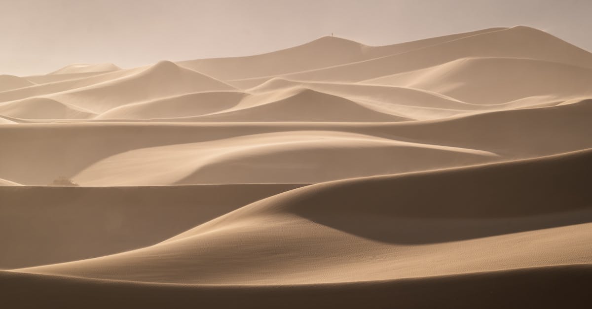 découvrez la suite épique de l'univers de dune, où les luttes de pouvoir, les enjeux interstellaires et les destins des héros se croisent dans une aventure inoubliable. plongez dans dune 2 et préparez-vous à un voyage fascinant sur arrakis.